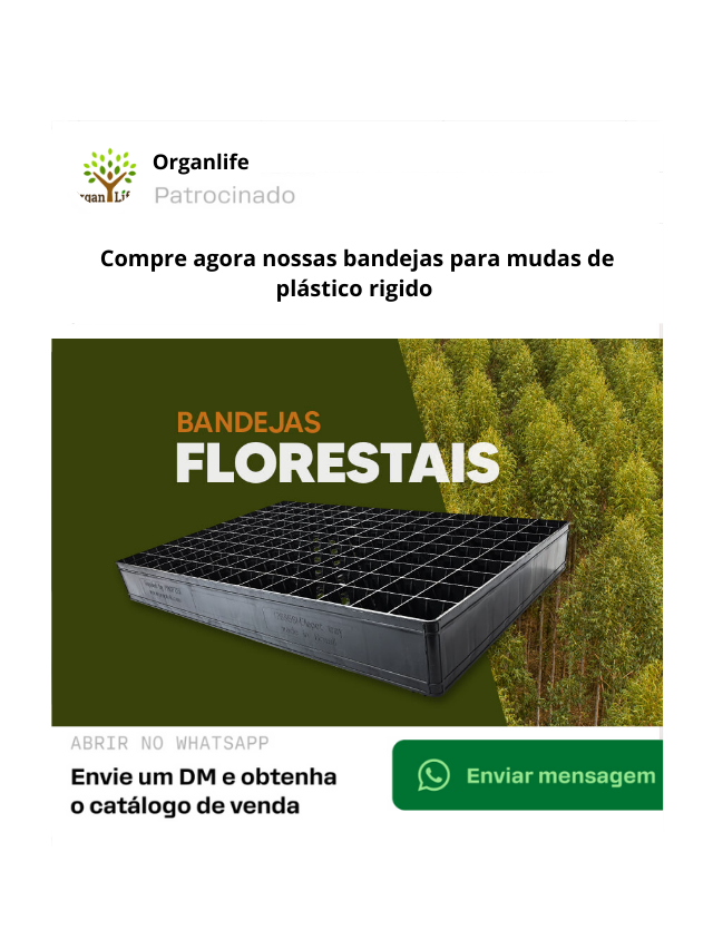 Converta anúncios diretamente em conversas no WhatsApp